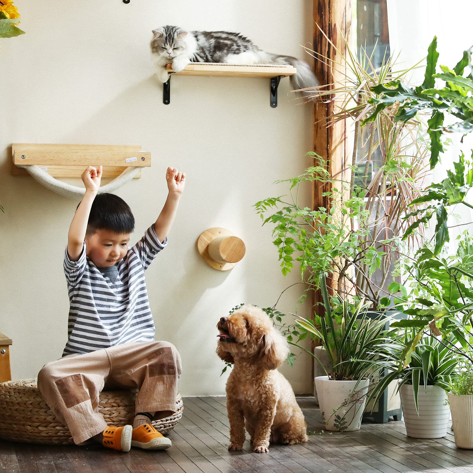 FUKUMARU Katzentreppe Wand, Kletterstufe (2er-Pack), massives Gummibaumholz, Ø 9 x L30 cm Sisal-Pfosten, Wandmontage Jute-Kratzäulen, DIY Kletterwand Katzen 7