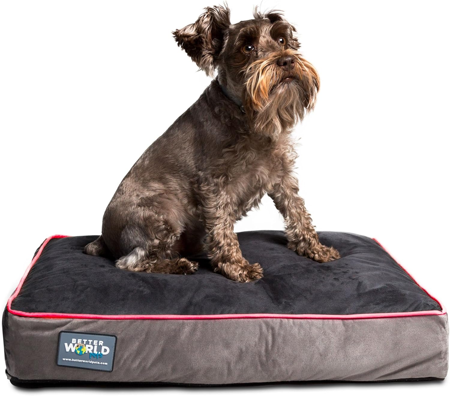 my dog ate a whole bag of dog treats