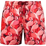 Capelle Miami Compression Liner Swim 