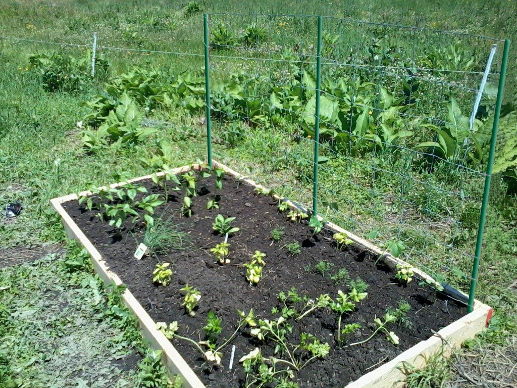 UniEco Estacas de jardín de Fibra de Vidrio Huecas para Soporte de ...