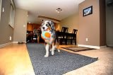 Chuckit Indoor Ball 12 cm Pet Toy Durable Soft One Piece view 5