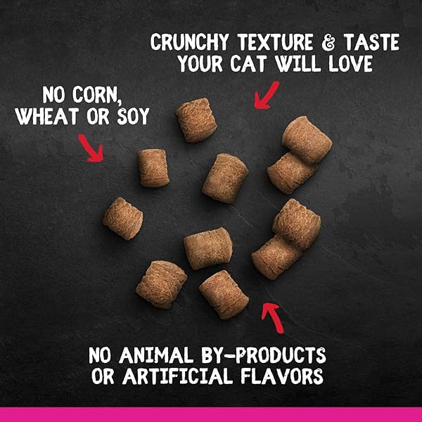 ZOE PURRABLES SALMON CAT TREATS, 75 GR