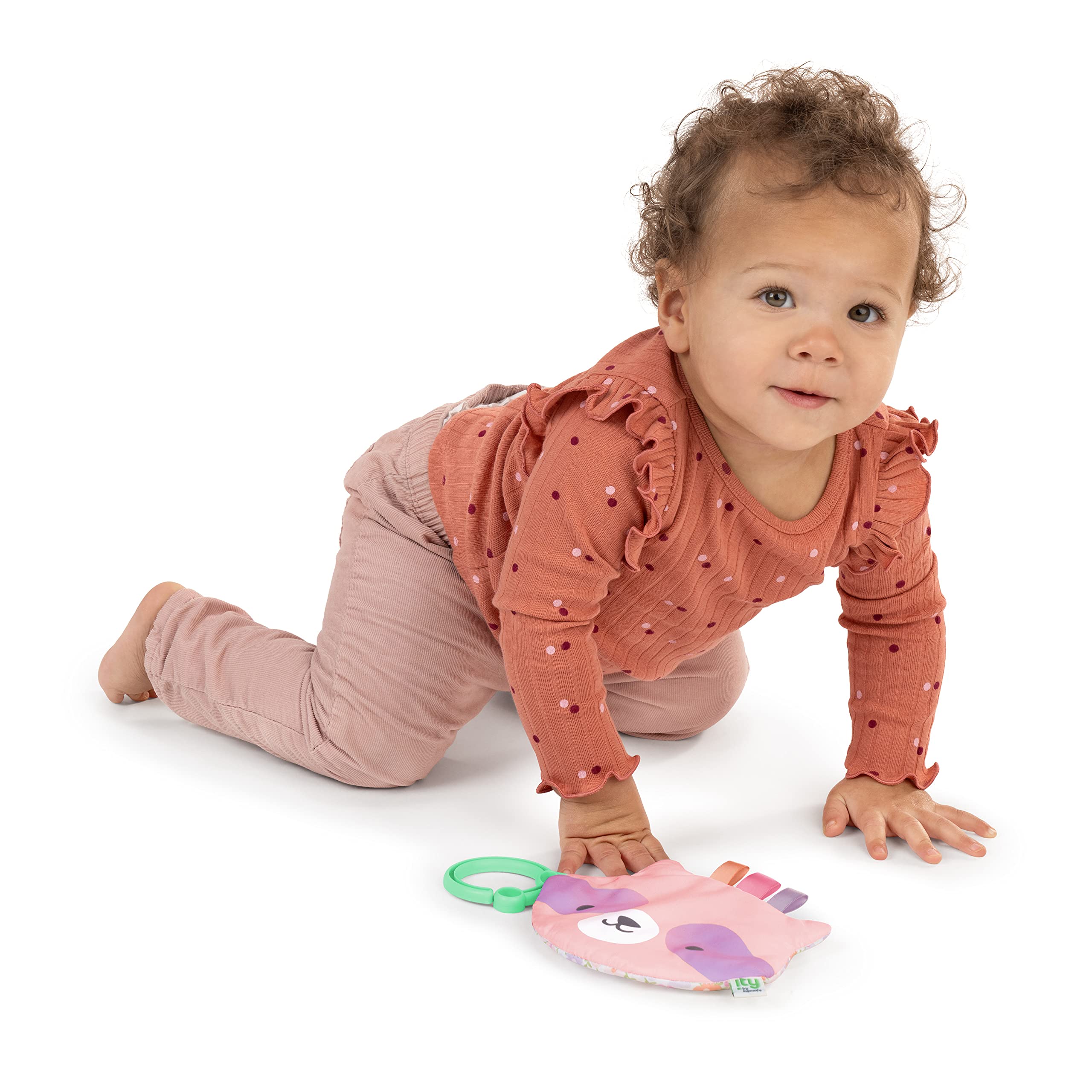 Ingenuity: ity by Ingenuity Crinklet, Raccoon Crinkle Toy for Newborn and Up, Satin Ribbon Tags, C-Link Attachment, Unisex - Deni