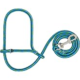 Weaver Leather Livestock Poly Rope Sheep Halter with Snap, Lime/Hurricane Blue/Royal Blue