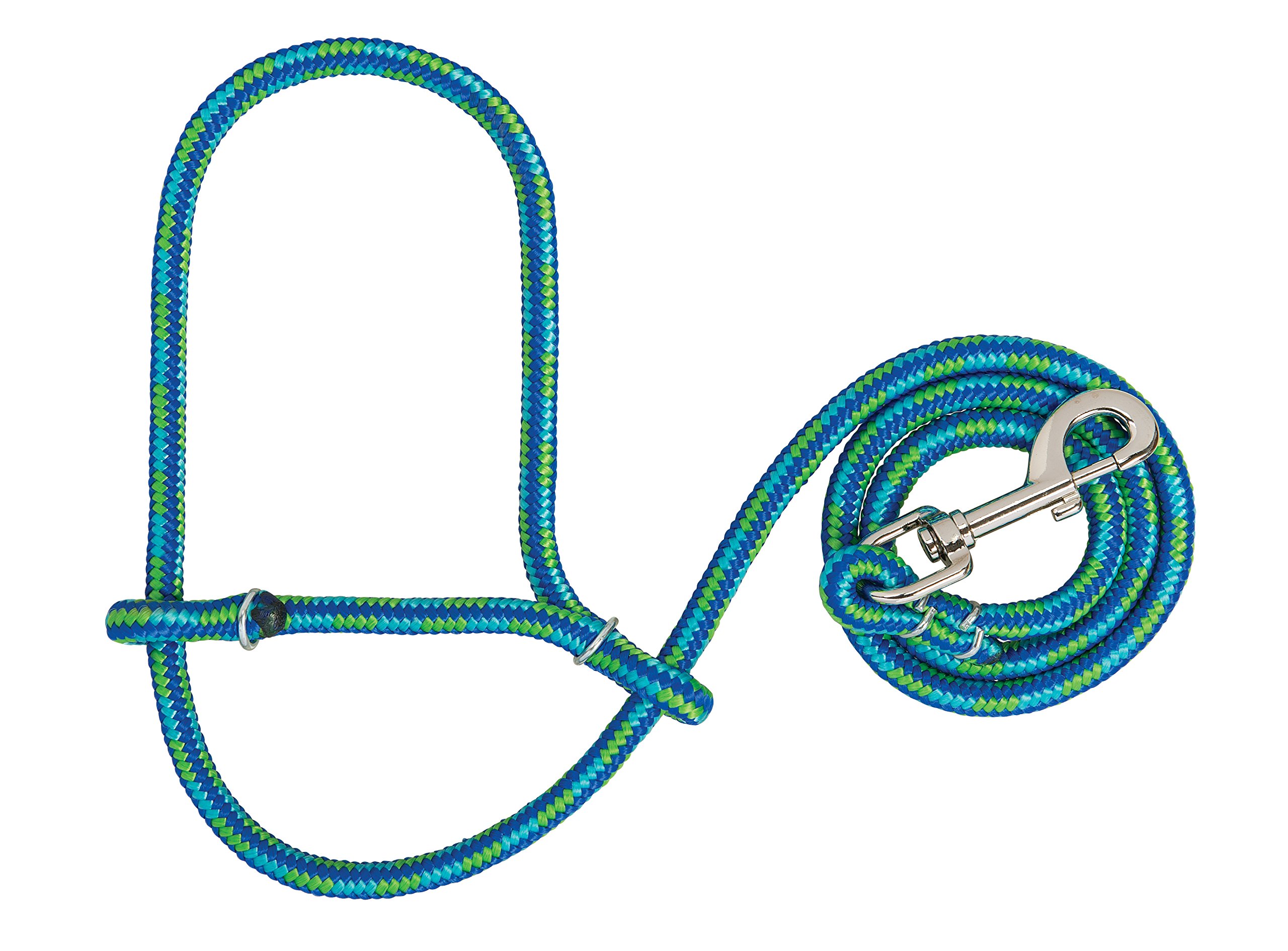 Weaver Leather Livestock Poly Rope Sheep Halter with Snap, Lime/Hurricane Blue/Royal Blue, Average