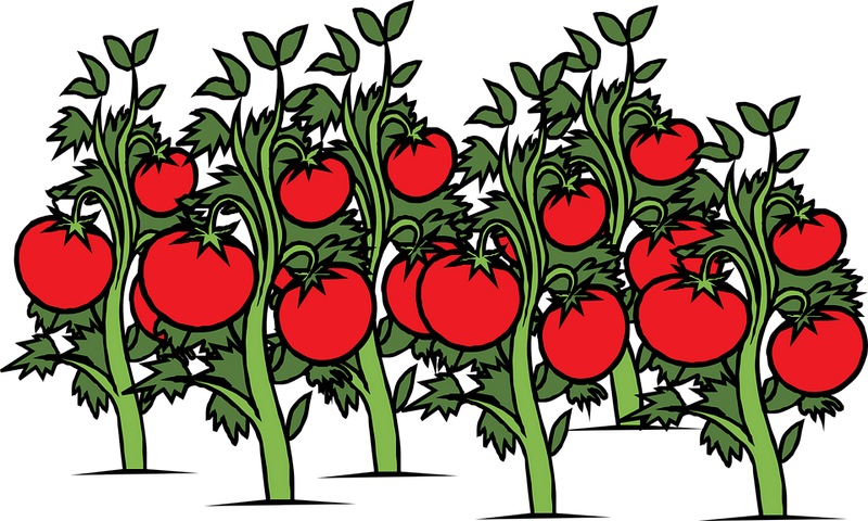 Hanron Lighting - //medicalbooks.filipinodoctors.org