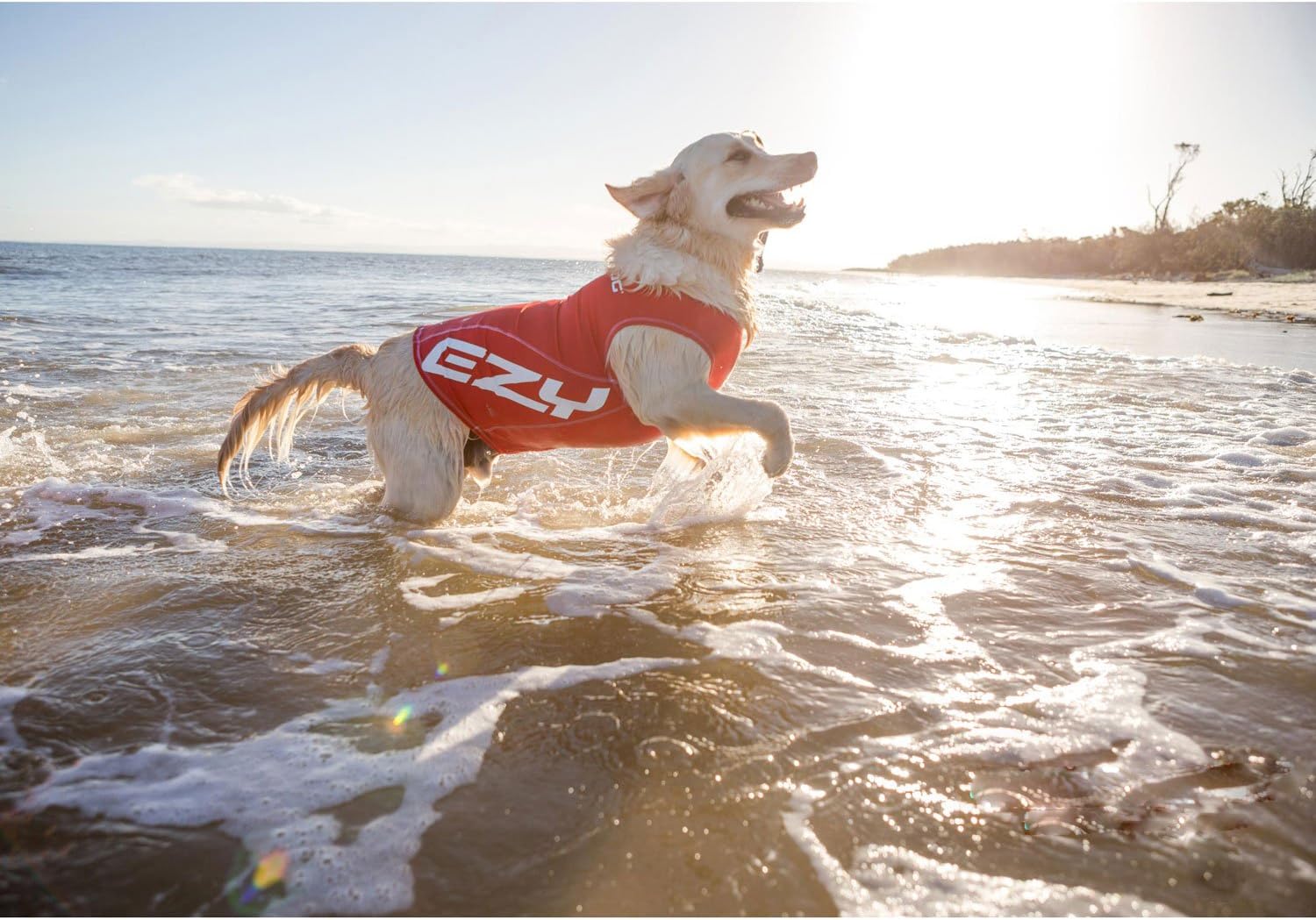 EZYDOG Rashie Dog Weather Vest, Red, L - Image 3