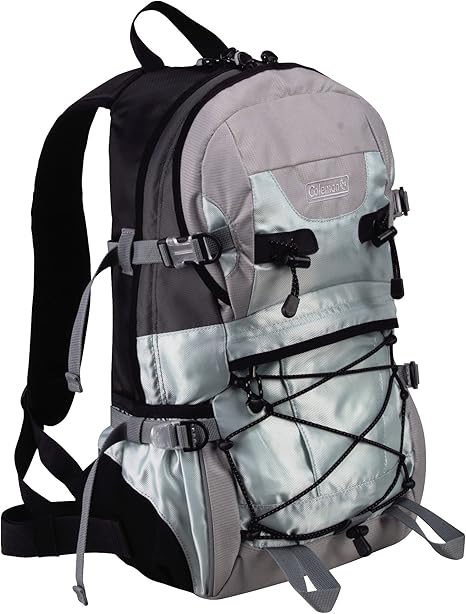 coleman day pack