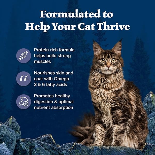 BLUE BUFFALO WILDERNESS NATURE’S EVOLUTIONARY DIET HIGH-PROTEIN, GRAIN-FREE NATURAL DRY FOOD FOR ADULT CATS, CHICKEN, 9.5-LB BAG
