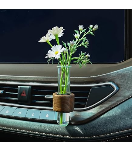 Amazon.com: EHERDM Removable Car Vent Flower Vase with Metal Clamp