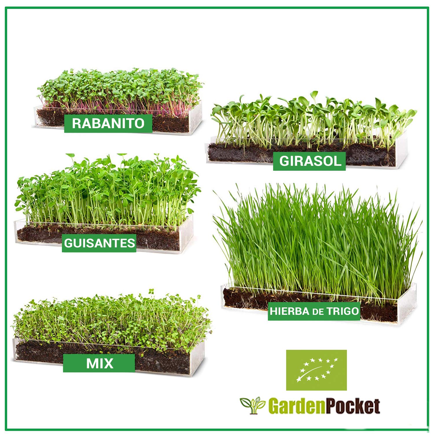 Garden Pocket Bandeja Large Brotes Germinados Bandeja Sustrato de ...