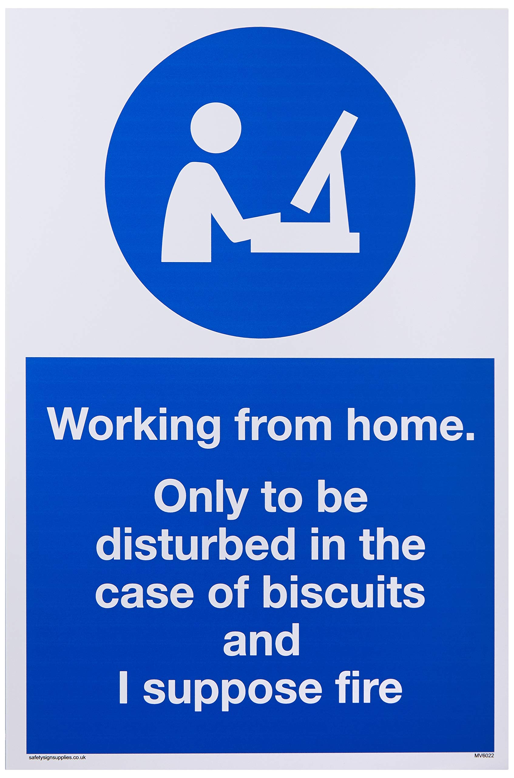 Working from home. Only to be disturbed in the case of biscuits and I suppose fire