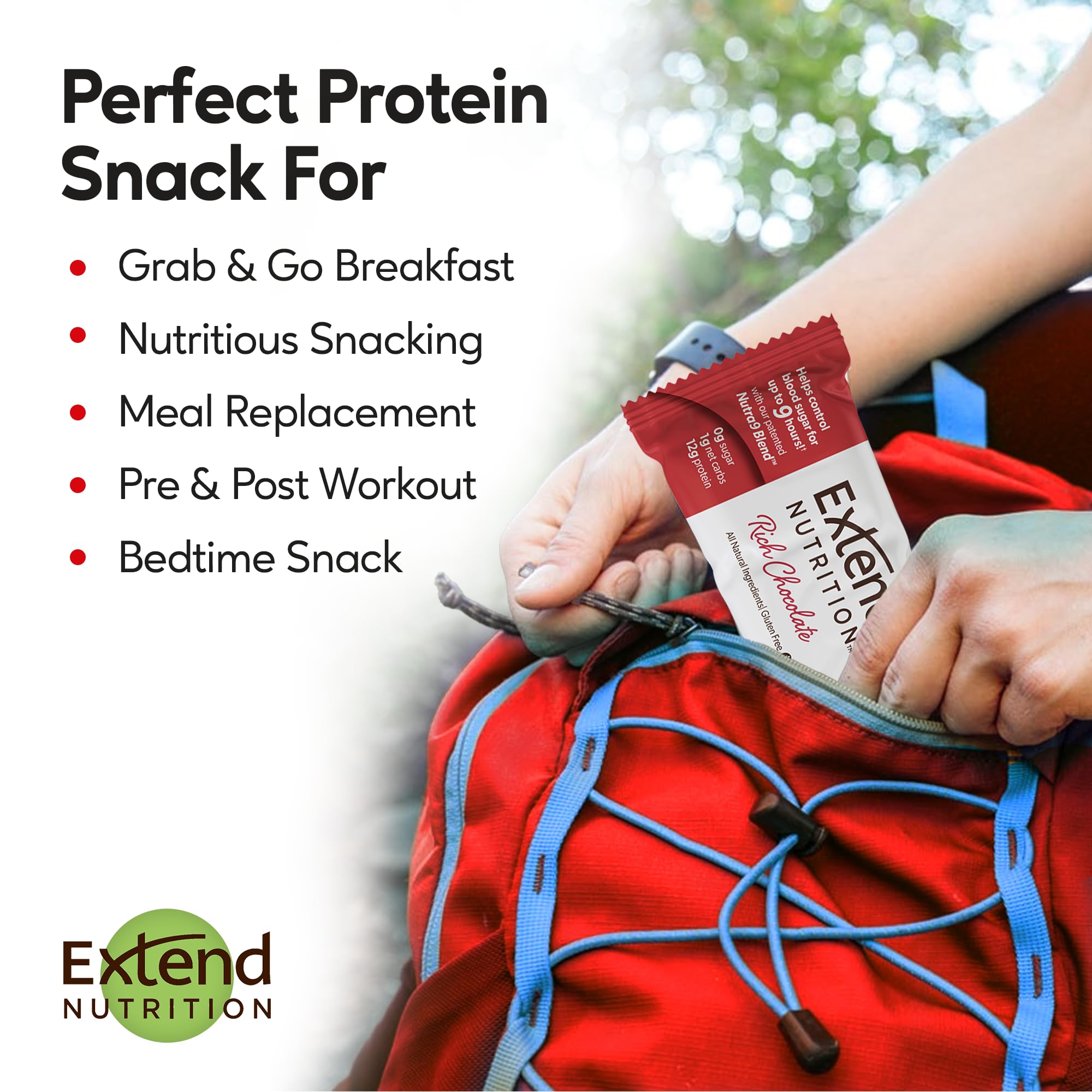 Extend Nutrition Sugar Free High Protein Bars, Perfect Sugar Free Snacks for Diabetes, Protein Bars for Hunger Control & Steady Energy, Low Carb, Keto, Intermittent Fasting, Rich Chocolate, 12 Count