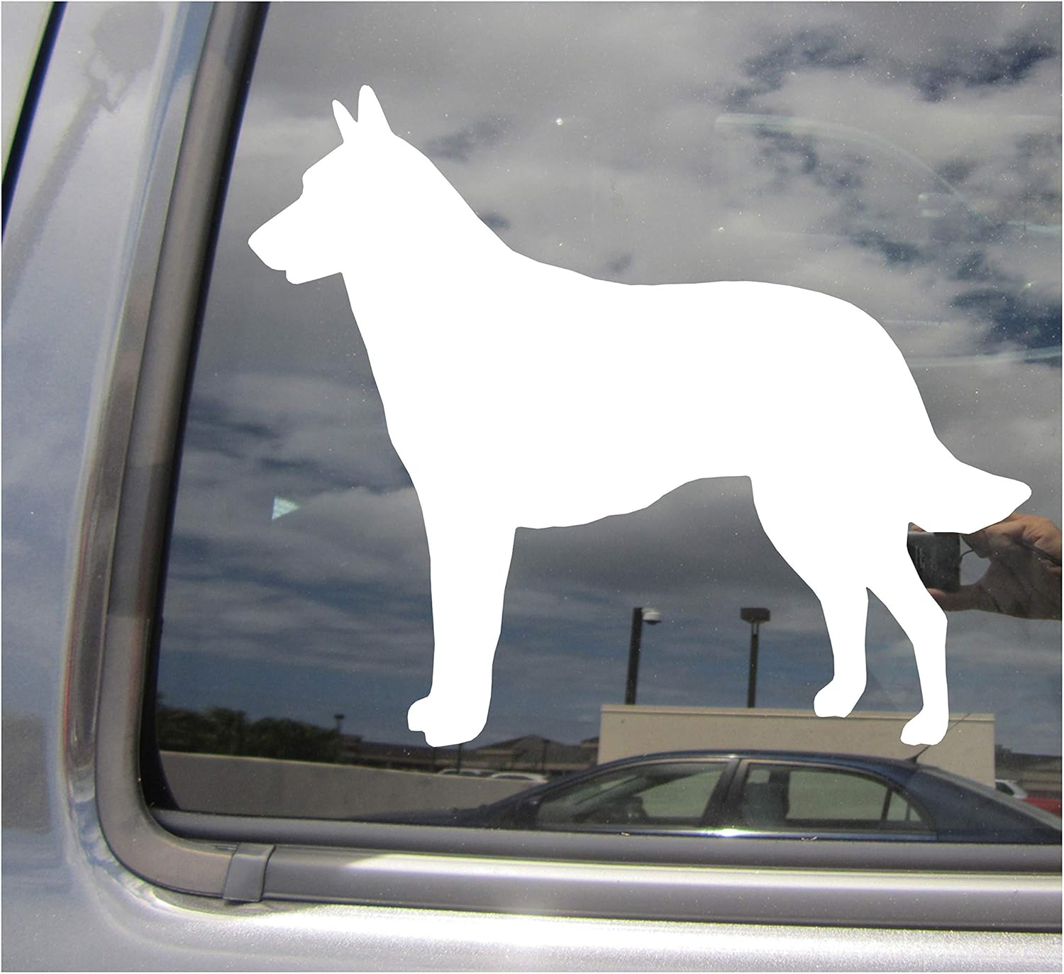 belgian malinois store