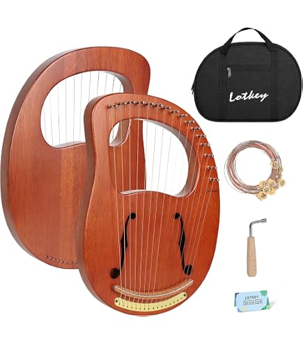 Amazon.com: ZSDM Soprano Lyre Small 42 Strings Chromatic Harp All