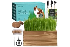 ROOTCRAFT 5-Pack Cat Grass Kit for Indoor Cats with Wood Planter, Grow Organic Non-GMO Wheat Grass in 4-7 Days, Aids Digestion & Hairball Control, Ideal Birthday Gift for Cat Lovers