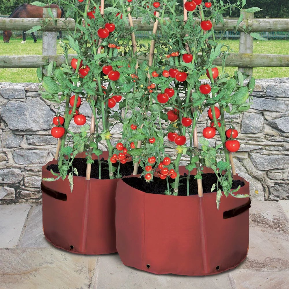 Large 40 Litre Plastic Tomato Planter Bag Growbags Garden Grow | Desertcart  Bahamas