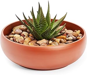 Juvale Terracotta Colored Ceramic Planter, Flower Pot with Drainage Hole (8 x 2.6 Inches)