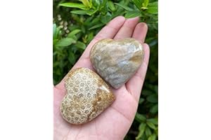 GAF TREASURES Large Fossil Coral Heart, 1.75" Polished Fossil Coral Puffy Heart, Fossil Coral Worry Stone, Palm Stone, Fossil Coral Heart Stone