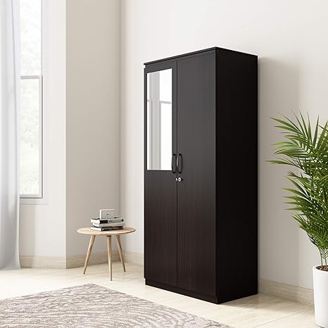 Amazon Brand Solimo Vega Engineered Wood 2 Door Wardrobe With
