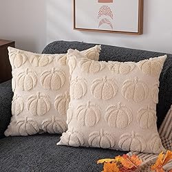 DFXSZ Fall Pillow Covers 16x16 Set of 2 Fall