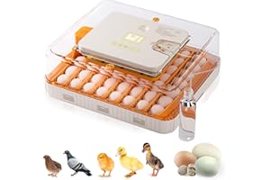 Besly 56 Egg Incubator with Automatic Egg Turning and Humidity Control, 360° Viewing, Chicken Incubator for Hatching Duck, Goose, Turkey, Quail, and Parrot Eggs, Egg Candler Ideal for Farm, Home