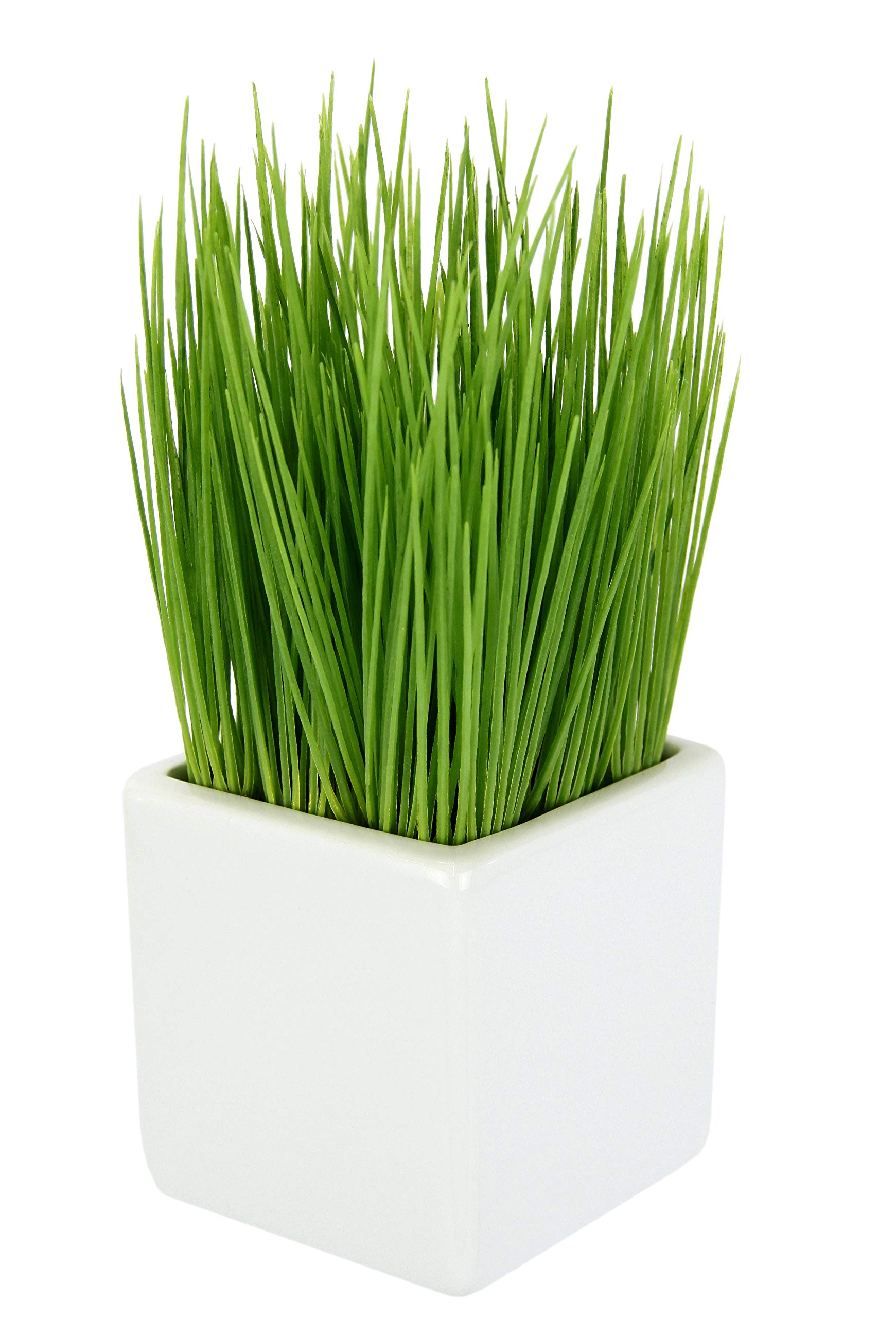 Flair Flower Pot Made of Ceramic, Green Plant, Artificial, Decorative Bush, Chives, Garden Herbs, Ornamental Grass, Plastic, 9x9x22 cm