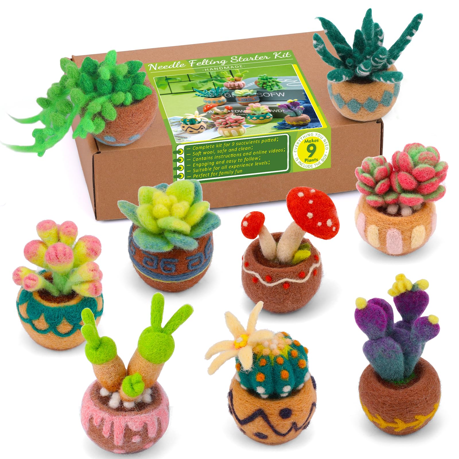 Axmru Needle Felting Kit 9 Pcs Succulent Needle Felting Starter Kit with Felt Tools and Supplies and Instruction for Beginners