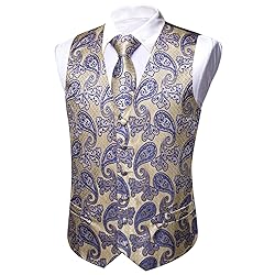 Barry.Wang Mens Suit Vest Yellow Blue Paisley Silk