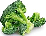 250 Broccoli Seeds for Planting Waltham 29