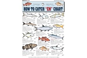 TIGHTLINES PUBLICATIONS Saltwater Fish Identification Chart #1 - Waterproof Quick Reference Fishing Guide - Species ID + Fishing Methods - (Florida, Atlantic, Gulf of Mexico, and Caribbean) - Great Gift for Beginners
