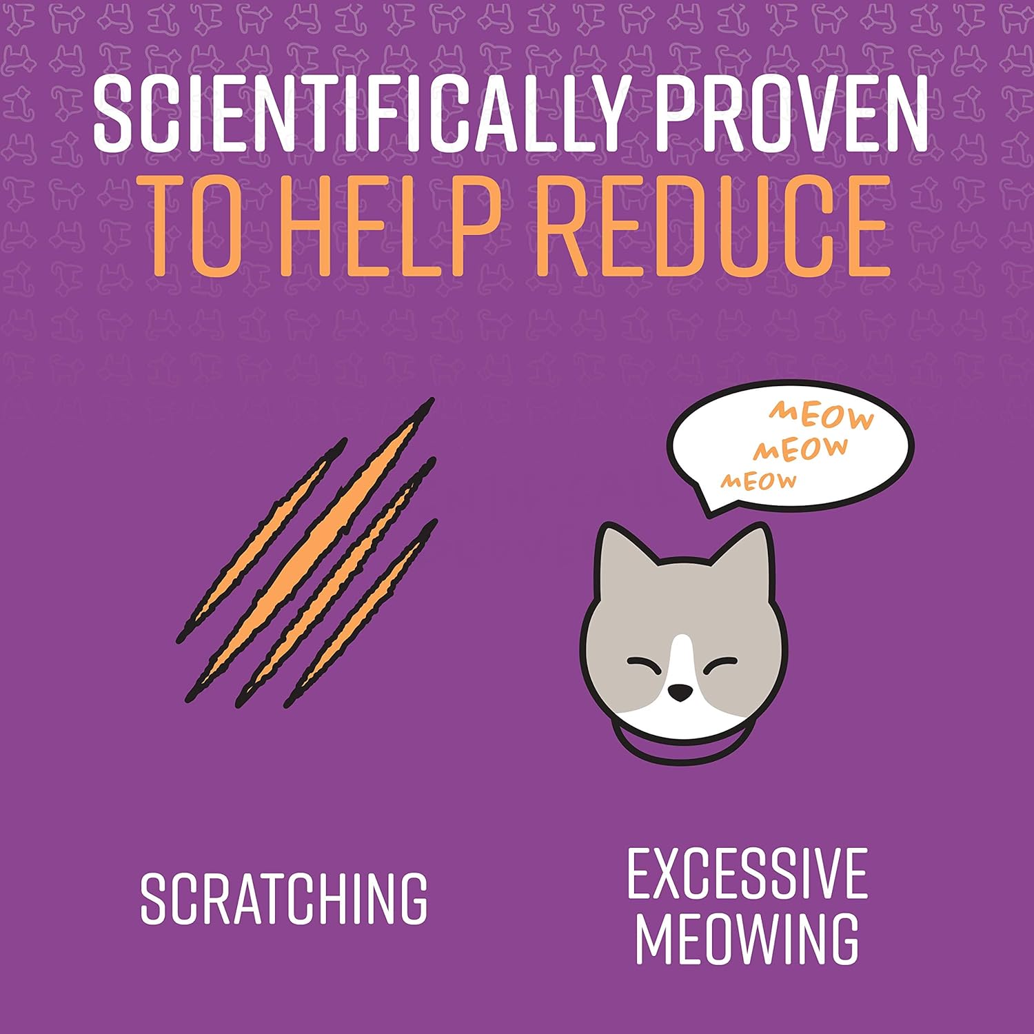 Sentry Behavior and Calming Collar for Cats, 1Ct : Pet Supplies