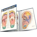 Reflexology (Quick Study Academic)