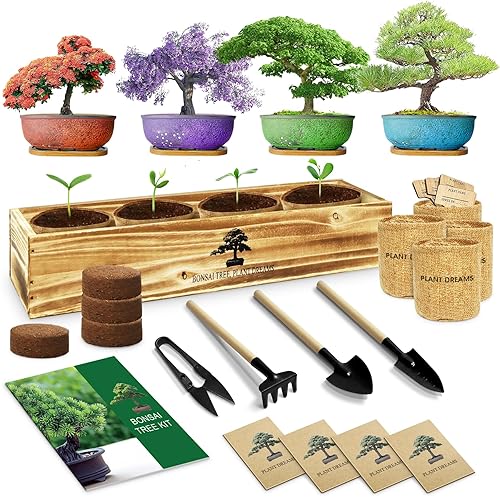 LUOJIBIE Bonsai Tree Kit, Complete Bonzai Tree Starter Kits with Tools, Unique DIY Gardening Gifts for Mom Women Men, Crafts Hobby Kits, Grow Bonsai Tree Live Indoor