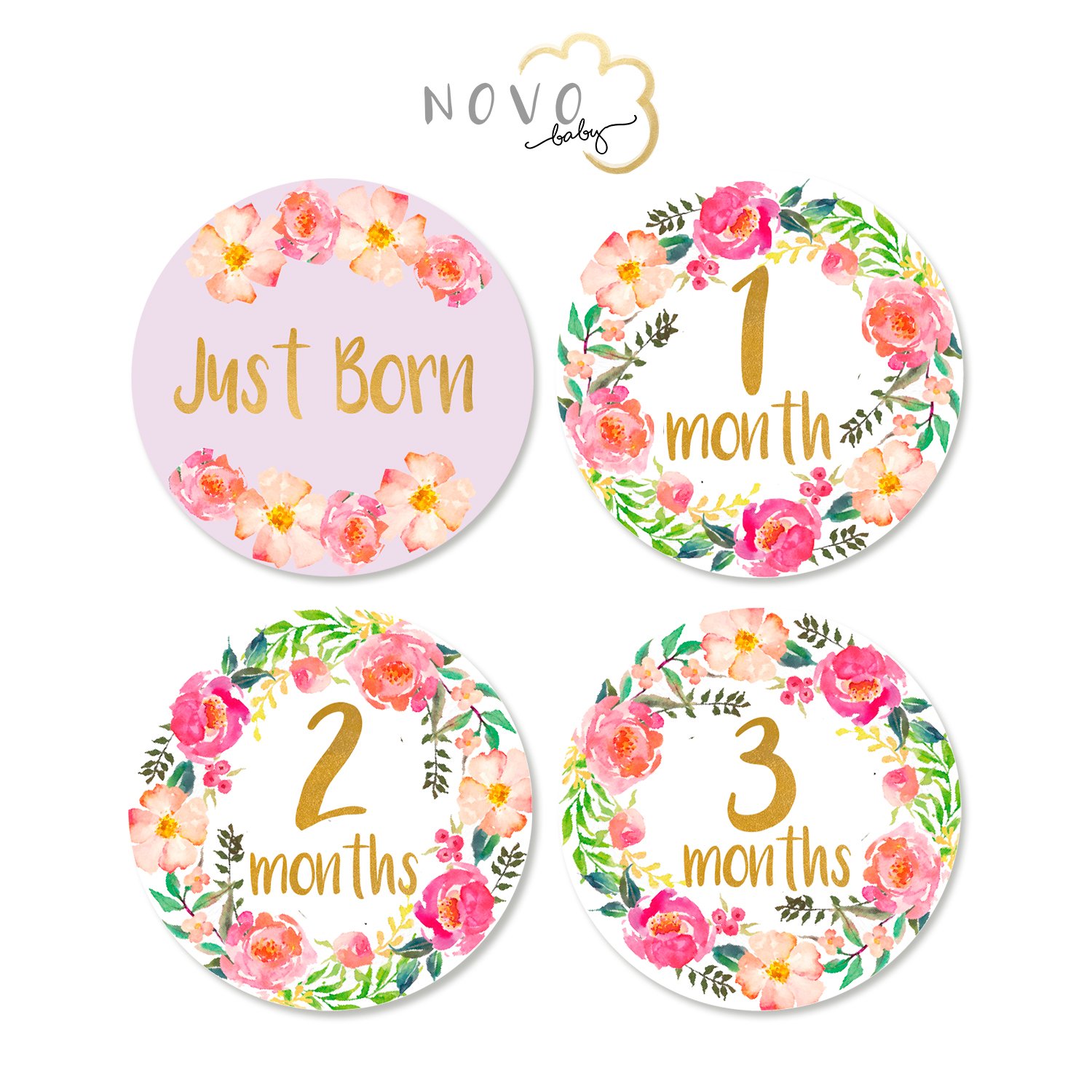 baby month stickers girl