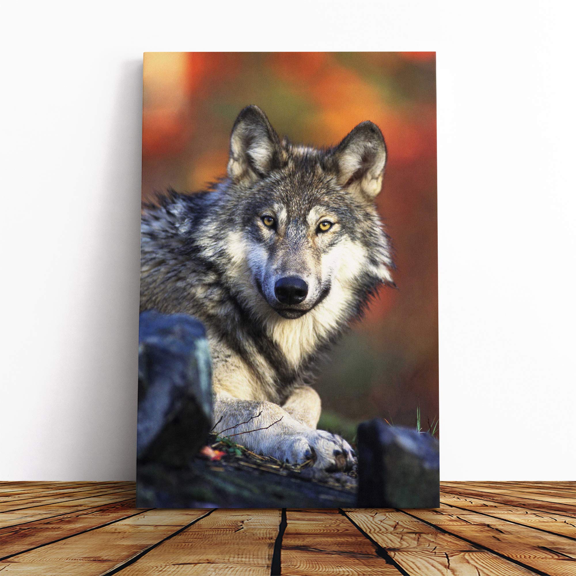 Wolf Resting Canvas Print | Gallery Wrapped 30mm Frame Wall Art | 20x14 inches | Ready to Hang | Modern Animals Picture | Living Room Bedroom Lounge Office