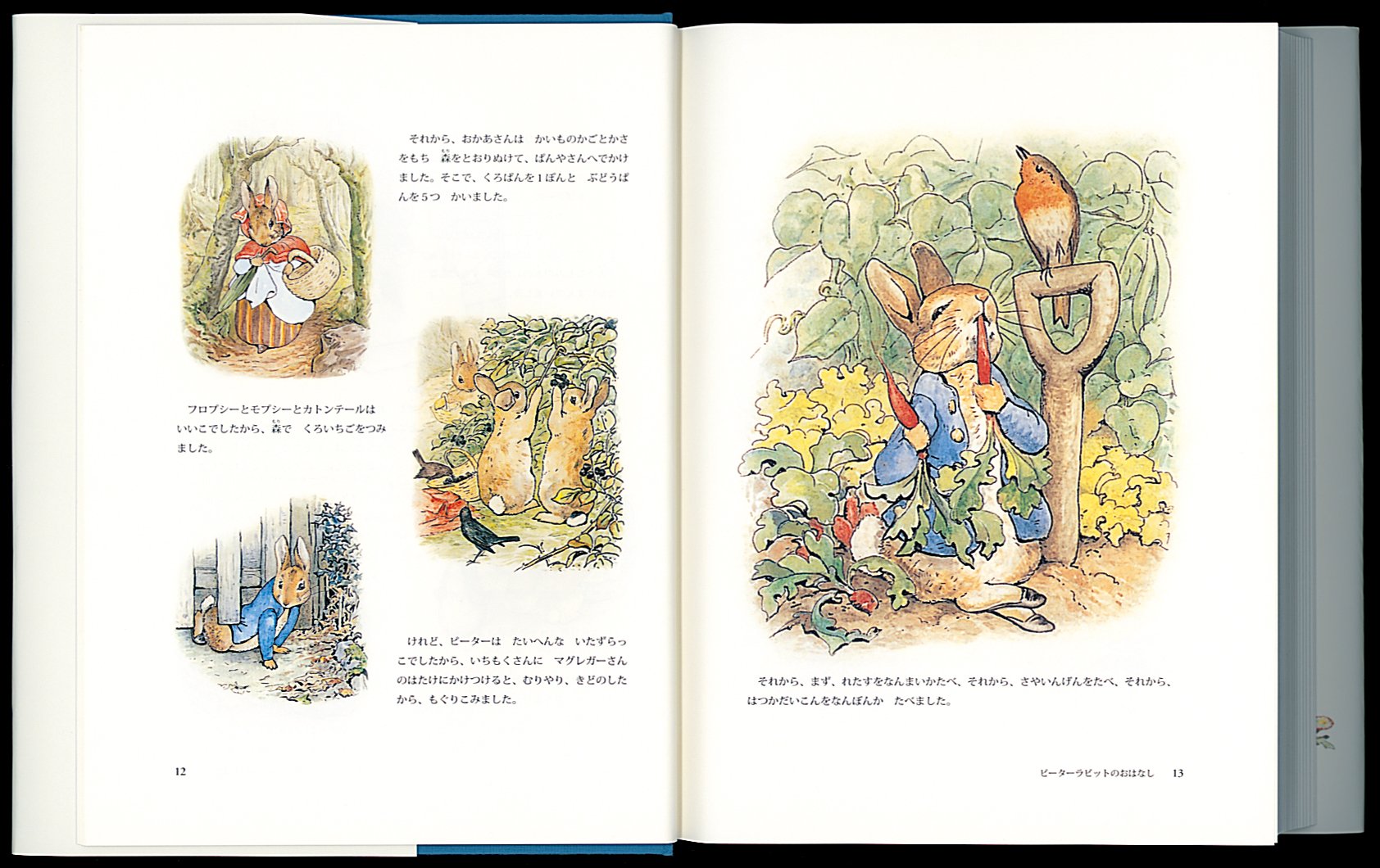 愛蔵版 ピーターラビット全おはなし集 改訂版 ピーターラビットの絵本 ビアトリクス ポター いしい ももこ 本 通販 Amazon