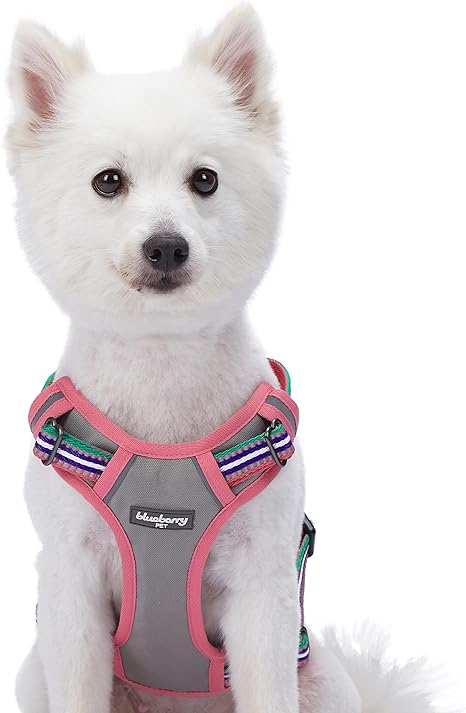 Dog harness blueberry Clearance