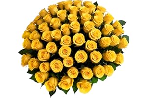 50 Yellow Roses | Pre-Book Mother's Day Flowers by Arabella Bouquets | Real Fresh Flowers for Delivery, Gift for Birthday Women, Congratulations, Anniversary, Thank You