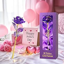 Childom Mothers Day Rose Gifts for Mom,Birthday
