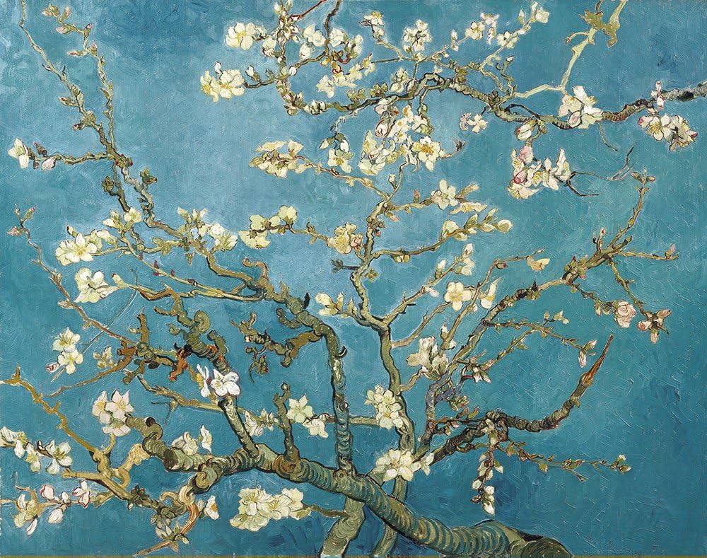 Spiffing Prints Vincent Van Gogh - Branches with Almond Blossom, 1890 - Extra Large - Semi Gloss Print Vintage Wall Art Poster Picture Giclee Artwork Modern Contemporary & Fine Art Print