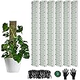 60"/40"/24" Metal Moss Pole, D Shape Sphagnum Moss Pole, Moss Poles for Climbing Plants, Moss Pole for Plants Monstera, Indoor Climbing Plants, Moss Poles Kit (6Pcs 40")