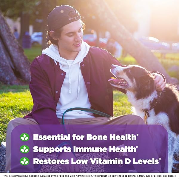 NATROL FAST DISSOLVE VITAMIN D3 2,000 IU, DIETARY SUPPLEMENT FOR BONE AND JOINT HEALTH, BONE SUPPORT SUPPLEMENT, 90 TABLETS, 90 DAY SUPPLY