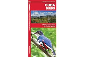 Cuba Birds