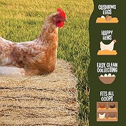 MagJo Pet Natural Aspen Shaving Nesting Liners