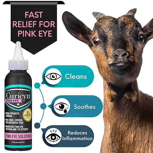 Viral Conjunctivitis Canine Pink Eye Home Remedy Infection Pink
