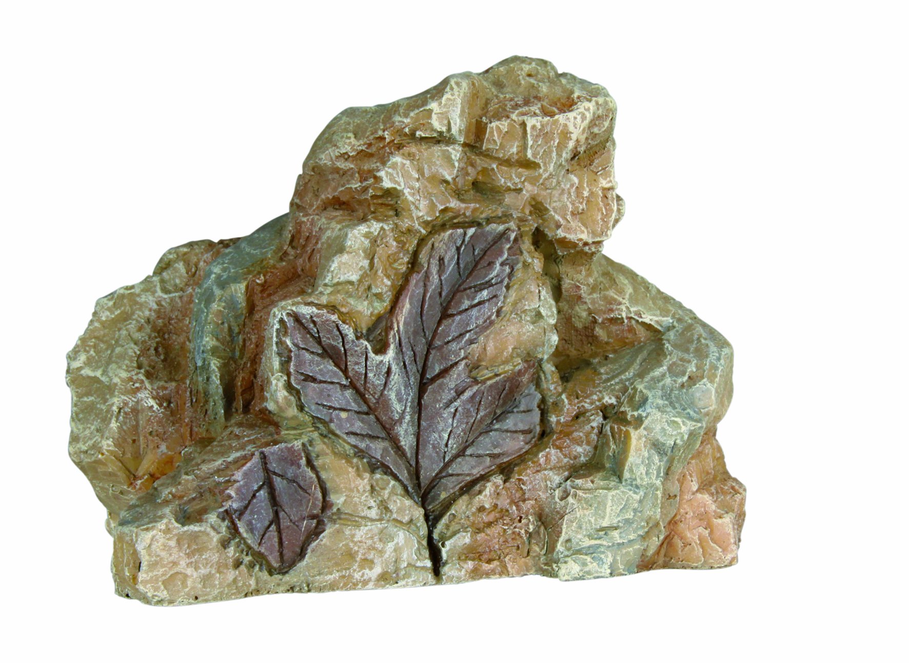 Trixie 88272 6 Fossils