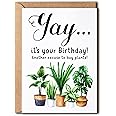 NTVShop Happy Birthday Greeting Card - Plant Lady Card - It's Your Birthday - Gift Idea For Plant Lover