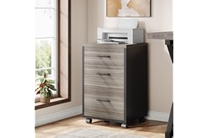 Triebsigns 3 Drawer File Cabinet, Vertical Mobile Filing Cabinet, Under Desk Rolling Printer Stand for Home Office, fits A4 o