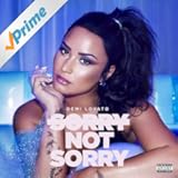 Sorry Not Sorry [Explicit]
